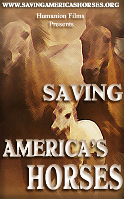 Saving America's Horses BNR